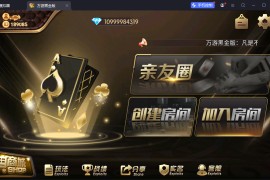 独家首发百游系列黑金版+苹果端+智能陪玩机器人+解密工具+语音视频教程