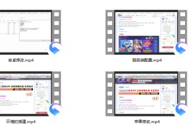 独家728游戏搭建语音视频教程