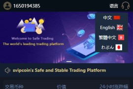 海外版微盘外汇系统投资系统USDT充值