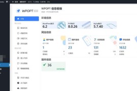 WordPress优化插件WPOPT v2.0.3