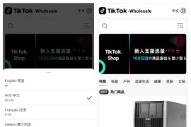 多语言tiktok跨境电商商城系统/已内嵌好tiktok/带部分搭建教程